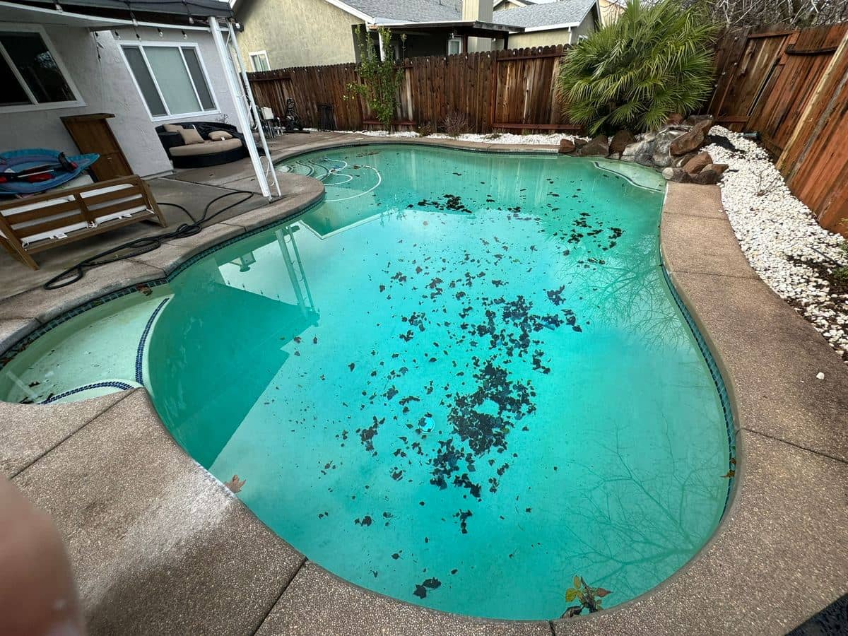 Pool with leaves on the floor before a Ripple weekly service visit