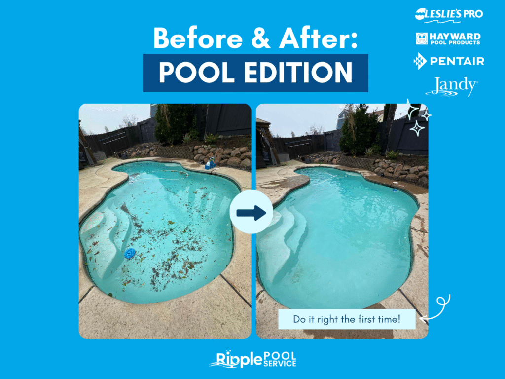 Dirty pool transformed to clean water